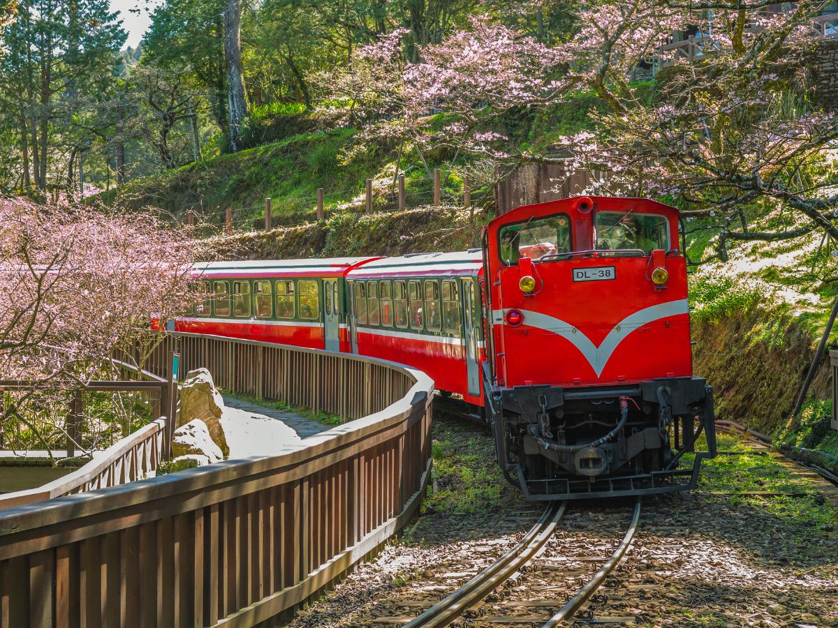 櫻花鐵道