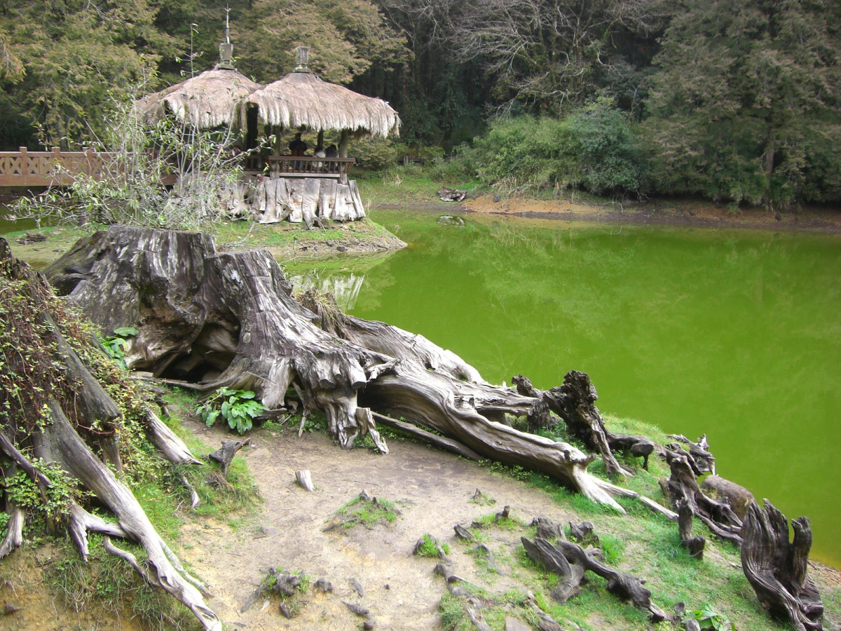 阿里山姊妹潭（姊潭）湖畔景致與相思亭