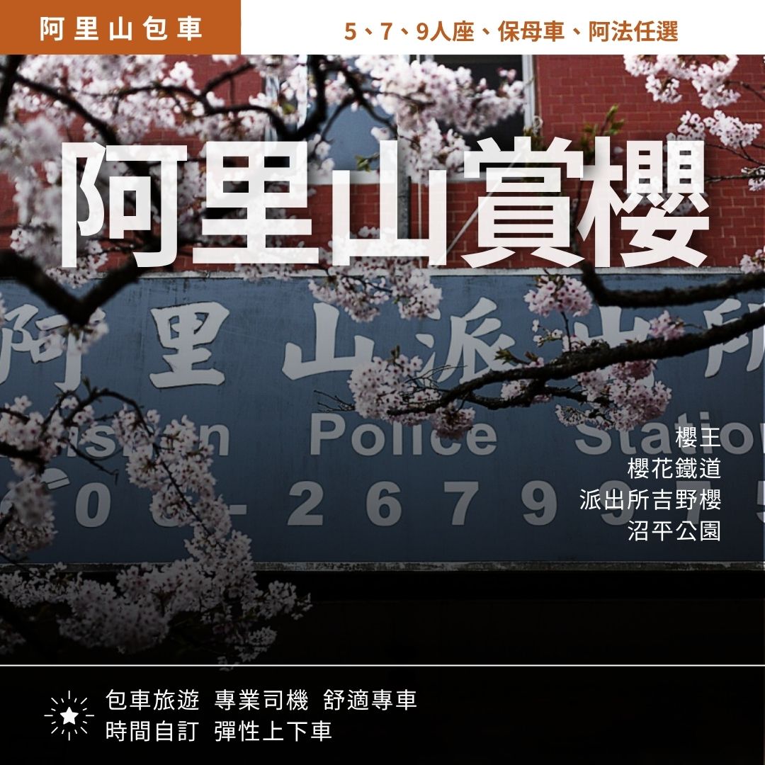 阿里山賞櫻一日遊 (3月中~3月底為主)｜櫻王, 櫻花鐵道, 派出所吉野櫻, 沼平公園, 石棹櫻之道, 隙頂櫻花茶園