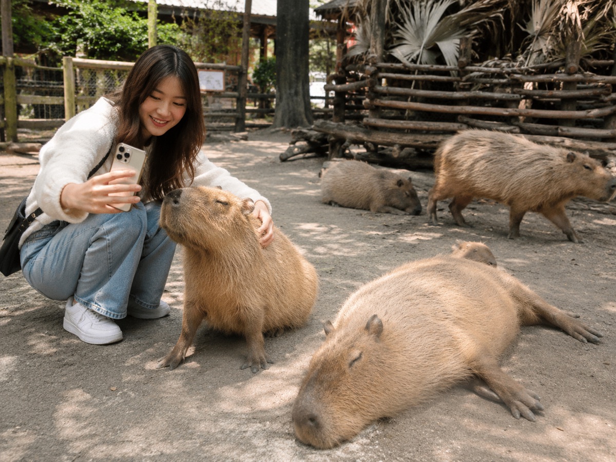 頑皮世界野生動物園